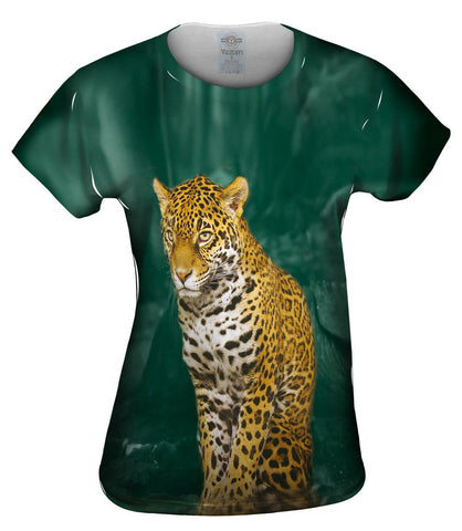 Leopard 002