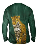 Leopard 002