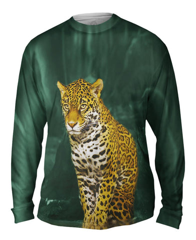 Leopard 002