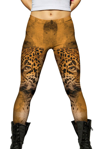 Leopard 003