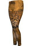 Leopard 003
