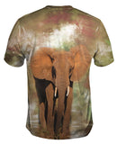Elephant 001