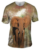 Elephant 001
