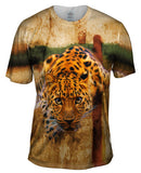 Leopard 005