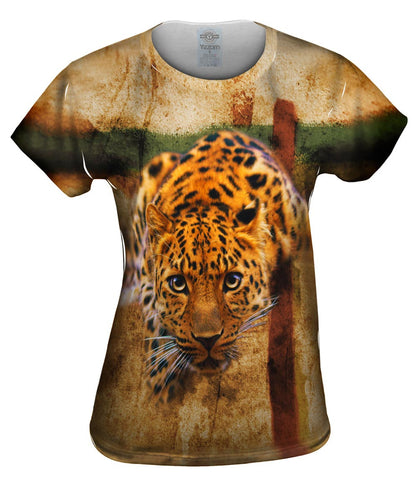 Leopard 005