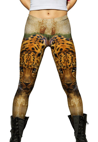 Leopard 005