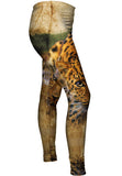 Leopard 005
