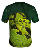 Snake 001