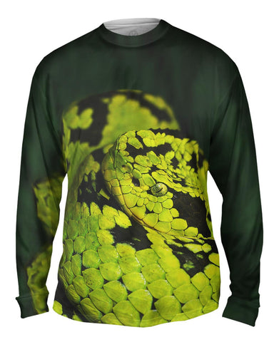 Snake 001
