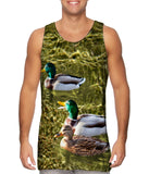 Duck 001