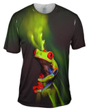 Frog 001