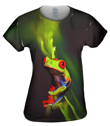 Frog 001