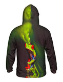 Frog 001