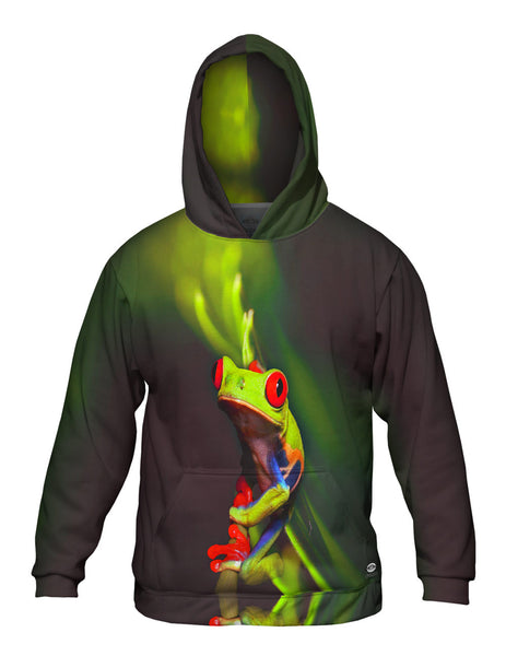 Frog 001 Mens Hoodie Sweater