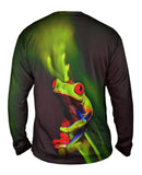 Frog 001