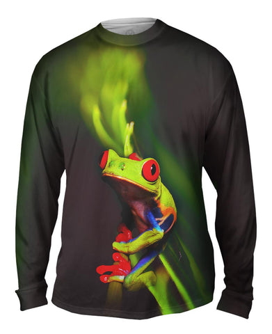 Frog 001