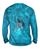 Dolphin 001