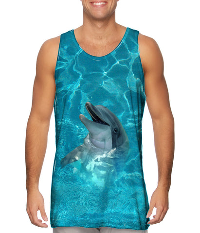 Dolphin 001