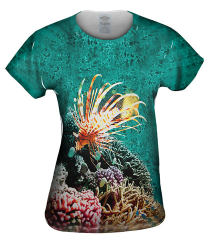 Coral reef 002