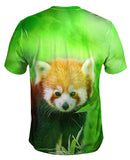 Red Panda