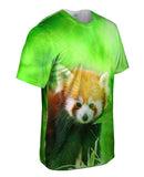 Red Panda