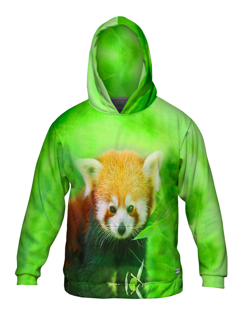 Red Panda Mens Hoodie Sweater Yizzam