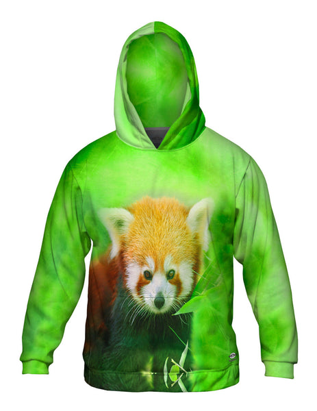 Red Panda Mens Hoodie Sweater