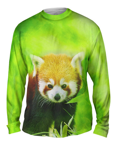 Red Panda