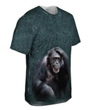 Monkey 005