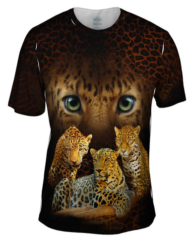Leopard 008