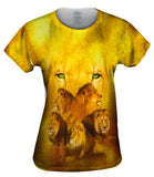 Lion 002