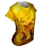 Lion 002