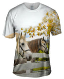 Horses At Fence