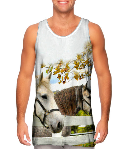 Horses At Fence