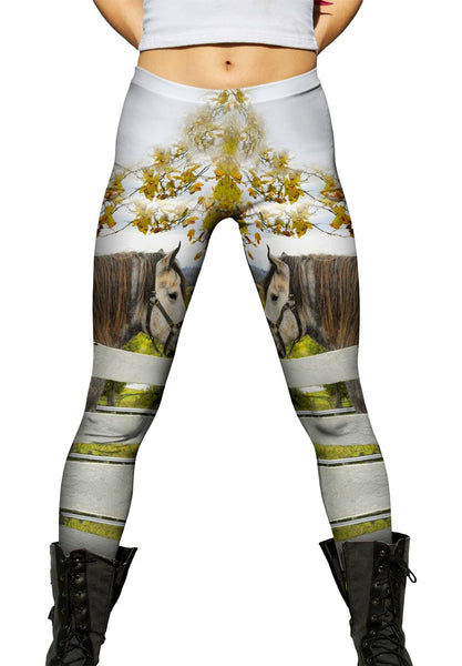 Horses At Fence&nbsp;Womens Leggings