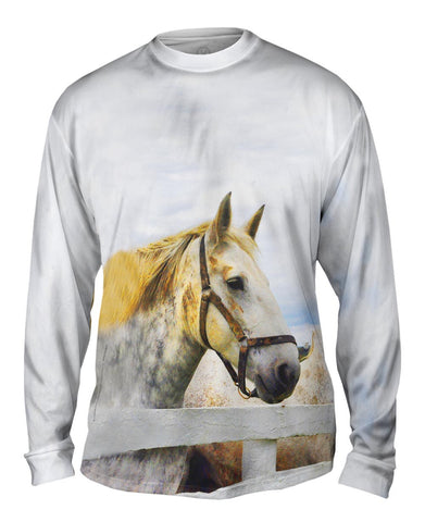 Yellow Mane Horse