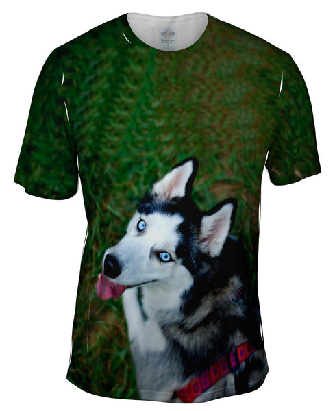 Blue Husky Mens T-Shirt