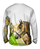 Horse Profile