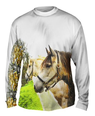 Horse Profile
