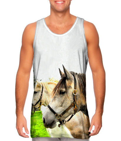 Horse Profile