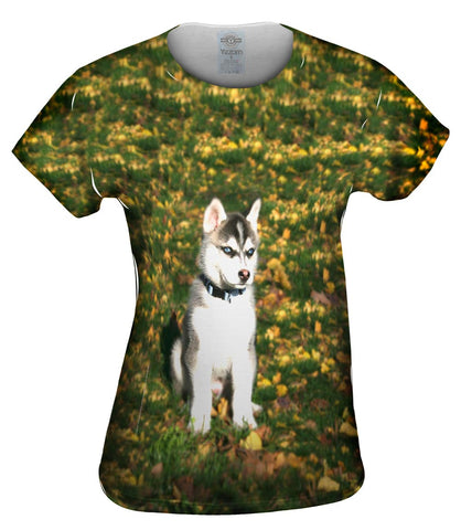 Small Husky