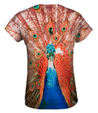 Peacock In Full Bloom