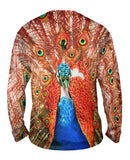 Peacock In Full Bloom