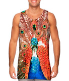 Peacock In Full Bloom