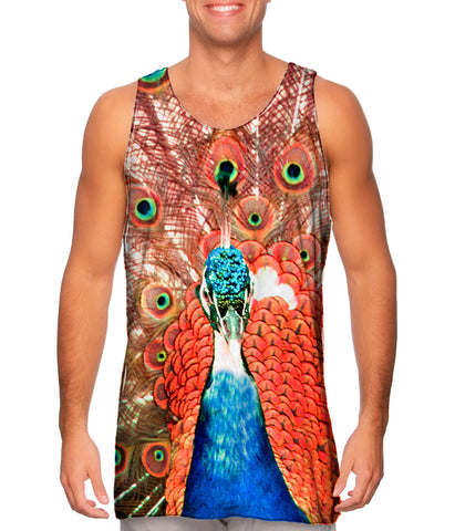 Peacock In Full Bloom