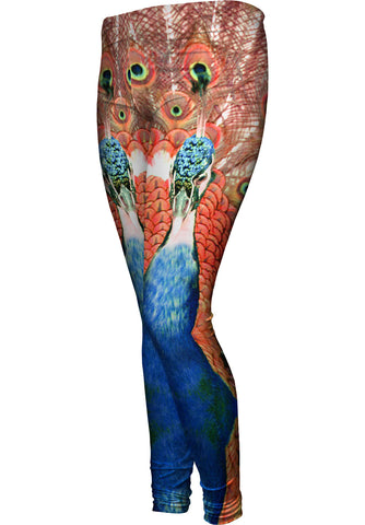 Peacock In Full Bloom