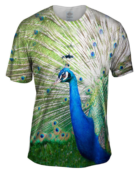 Peacock Strut Mens T-Shirt
