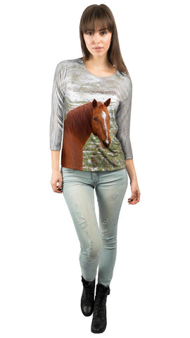 Horse Looking Back