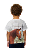 Kids Horse Looking Back