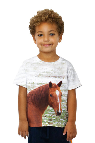 Kids Horse Looking Back
